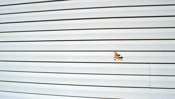 Custom Trim and Detailing for Siding in Aptos, CA