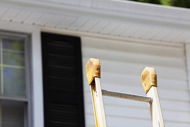 Best Historical Building Siding Restoration  in Aptos, CA